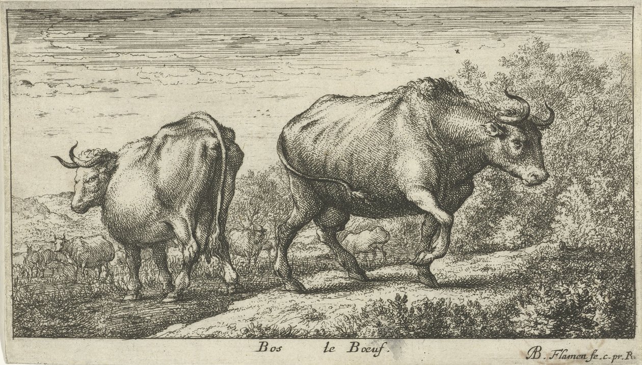 Tori da Albert Flamen