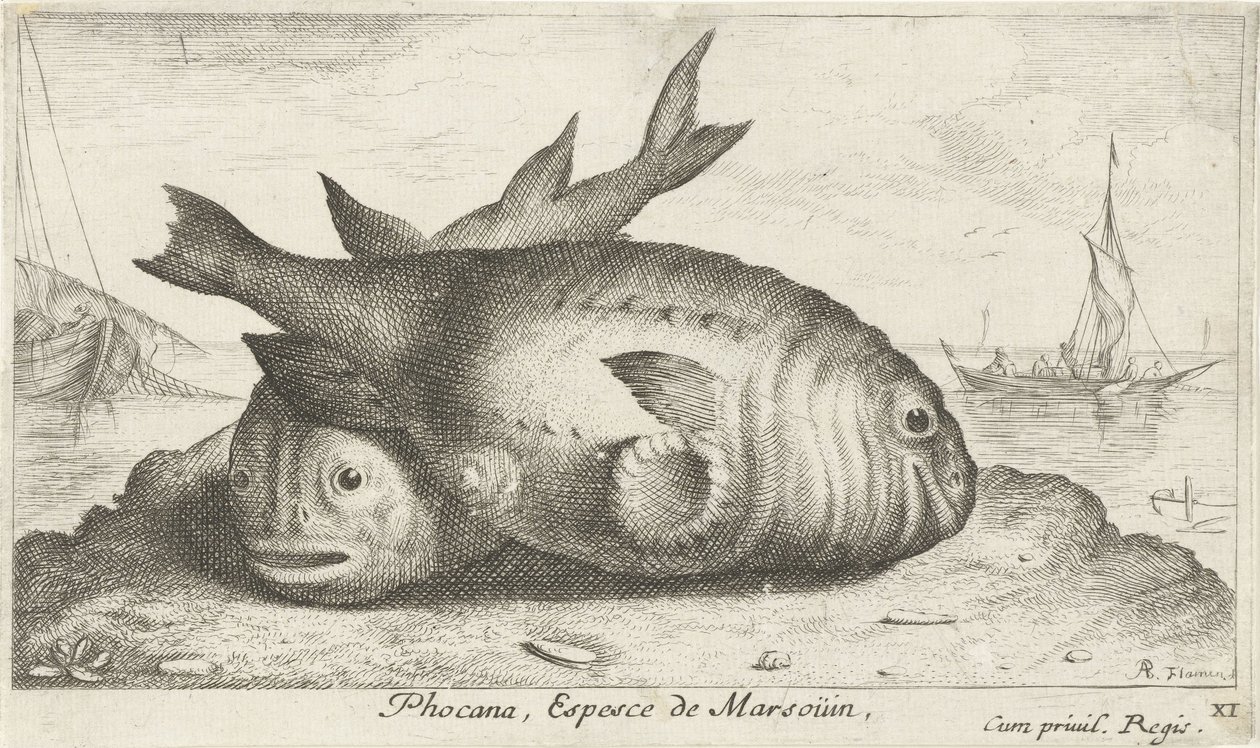 Due focene sulla spiaggia (Pesci e altri animali marini - terza serie) da Albert Flamen