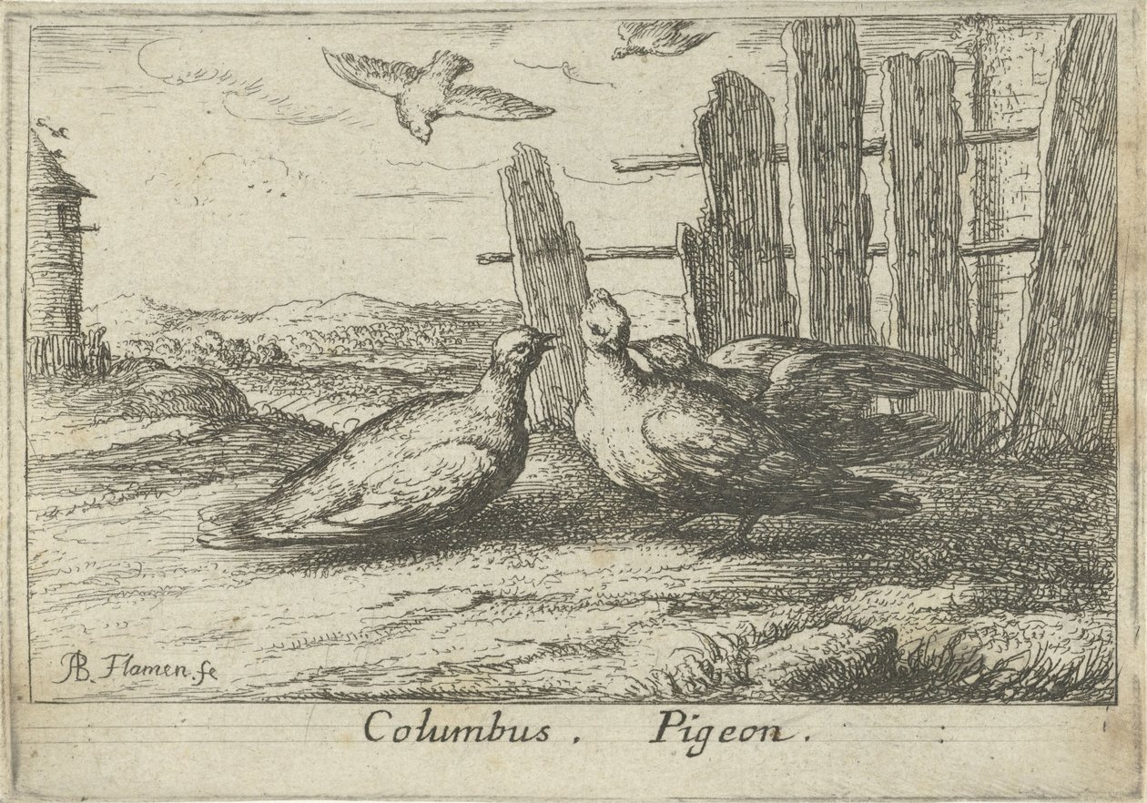 Due colombe vicino a una recinzione da Albert Flamen