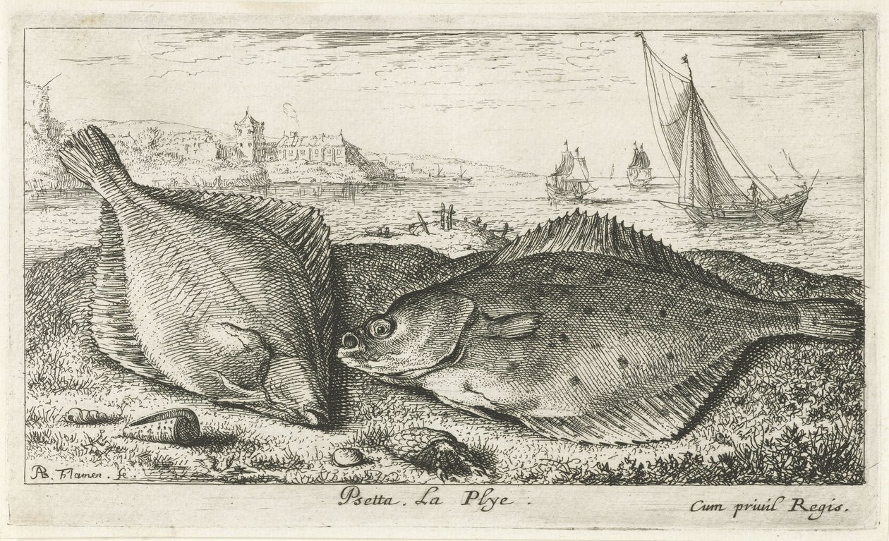 Due passere piatte sulla spiaggia da Albert Flamen
