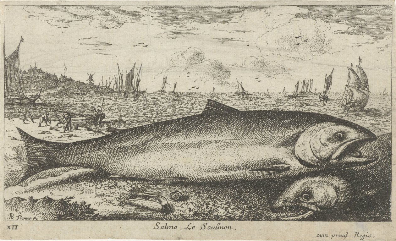 Due salmoni sulla spiaggia da Albert Flamen