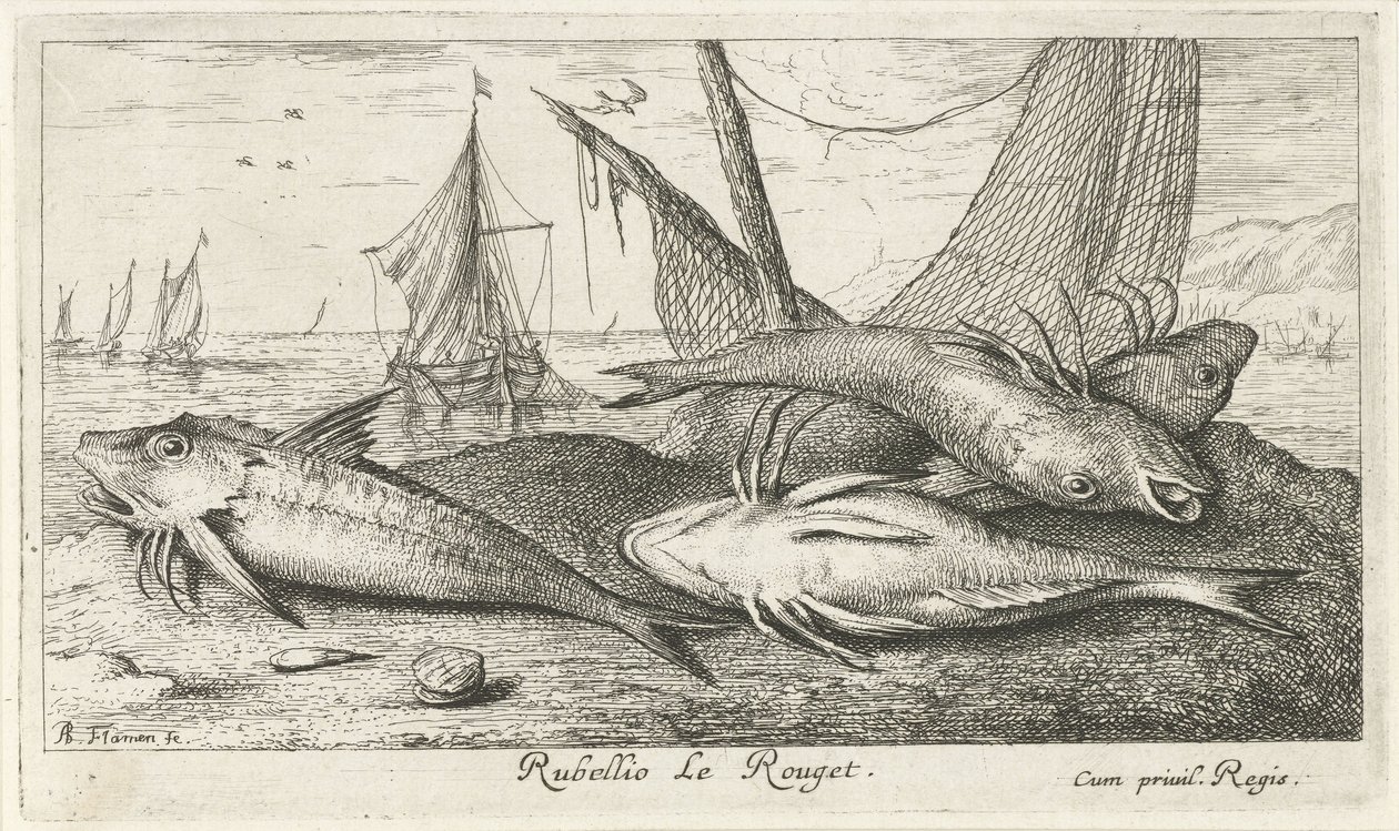 Quattro triglie rosse sulla spiaggia da Albert Flamen