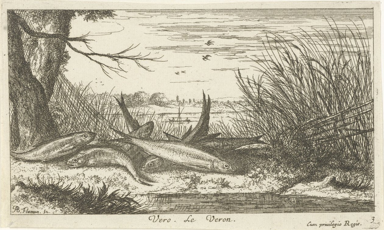 Cavedani su una riva del fiume da Albert Flamen