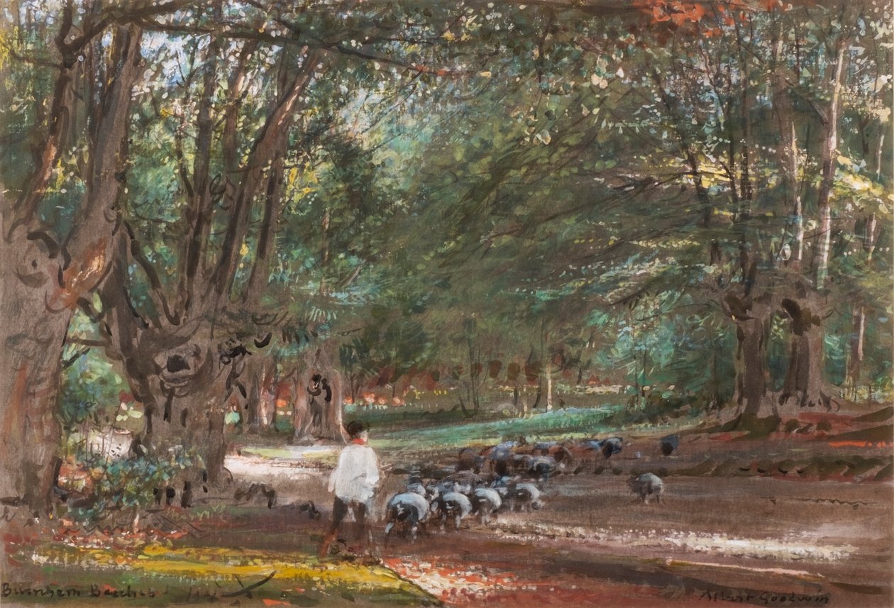 Burnham Beeches da Albert Goodwin