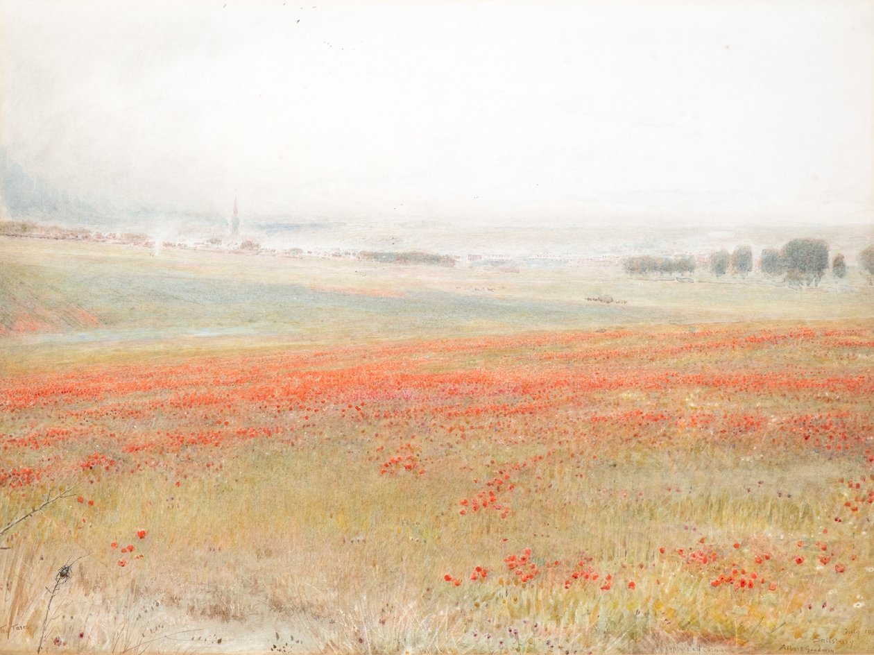 Le zizzanie. Papaveri nel grano. Salisbury da Albert Goodwin