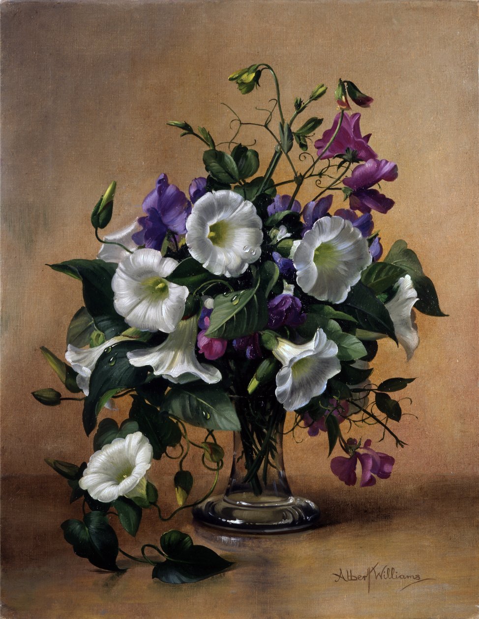  da Albert Williams