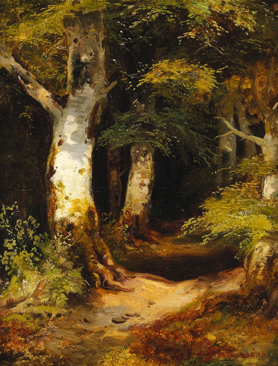 Strada forestale da Albert Zimmermann