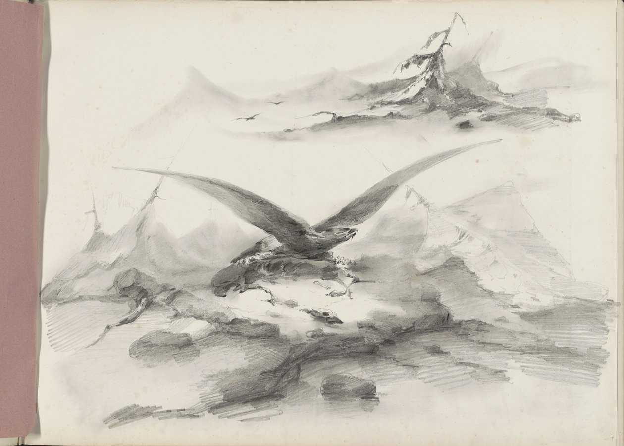 Aquila che vola sopra una costa con montagne da Albertus van Beest
