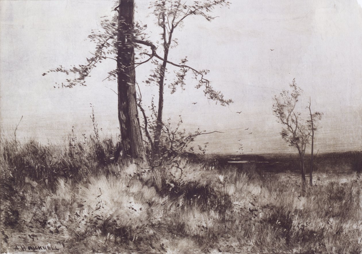 Paesaggio da Albion Harris Bicknell