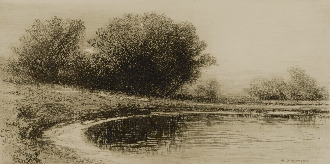 Stagno e alberi da Albion Harris Bicknell