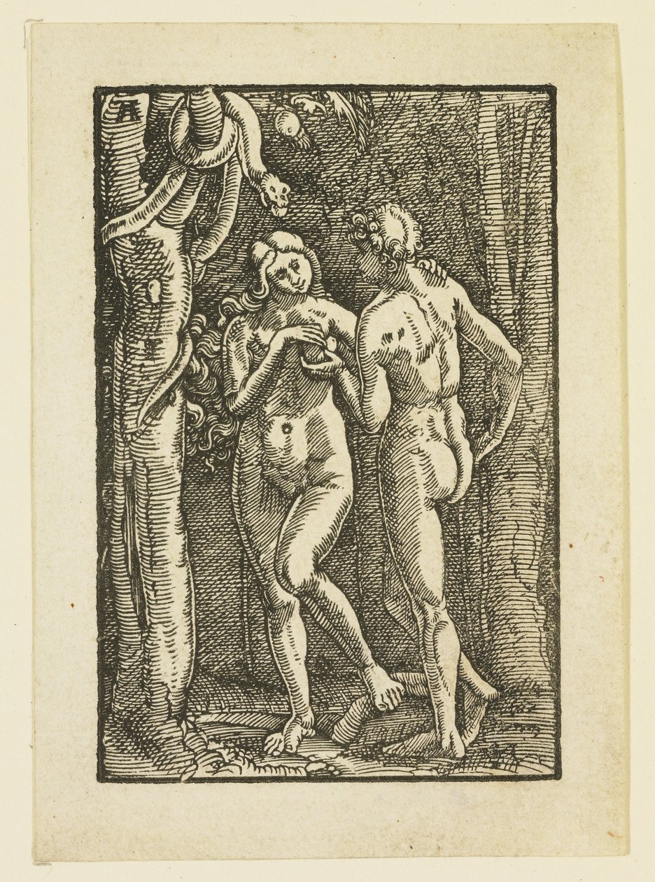 Adamo ed Eva che mangiano il frutto proibito, c.1513 da Albrecht Altdorfer