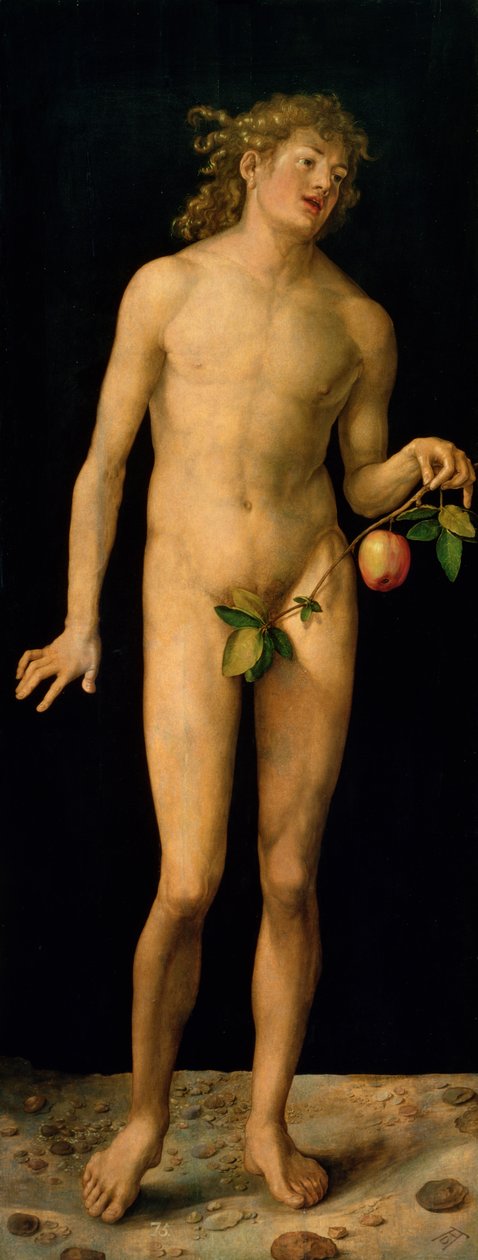Adamo da Albrecht Dürer