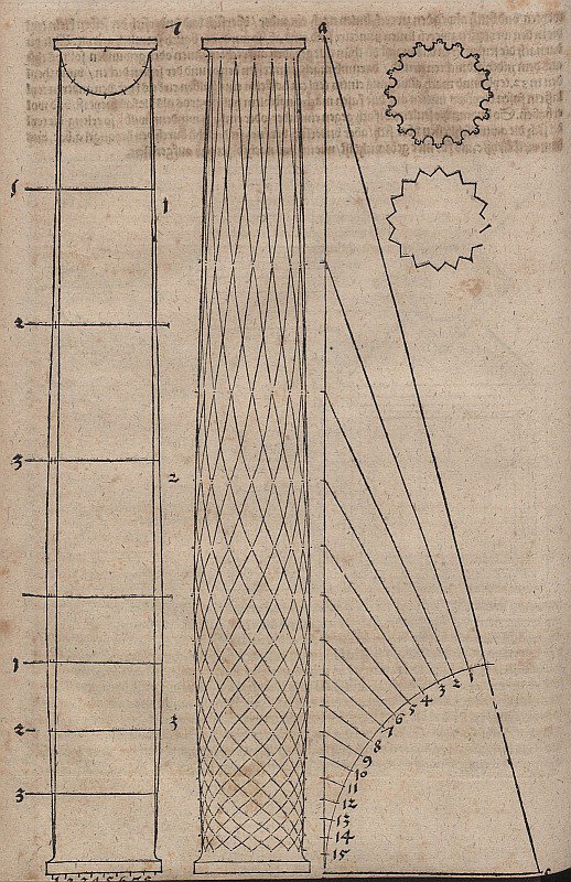 Forma di colonna panciuta e sezioni di colonne da Albrecht Dürer