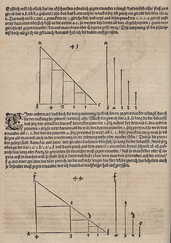 Immagine grafica di una funzione lineare e di una funzione esponenziale da Albrecht Dürer