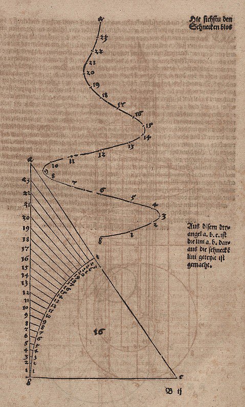 Spirale conica senza linee ausiliarie da Albrecht Dürer