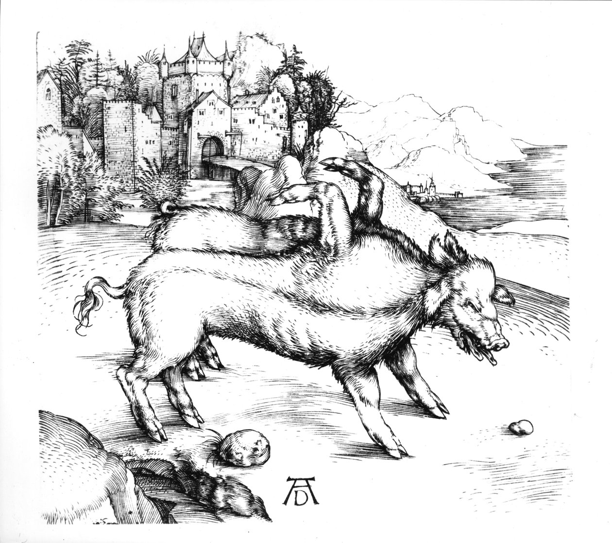 Maiale mostruoso da Albrecht Dürer