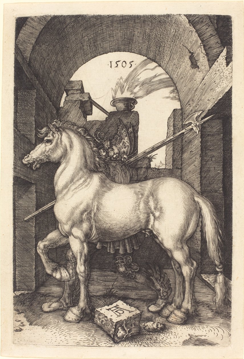 Cavallo piccolo da Albrecht Dürer