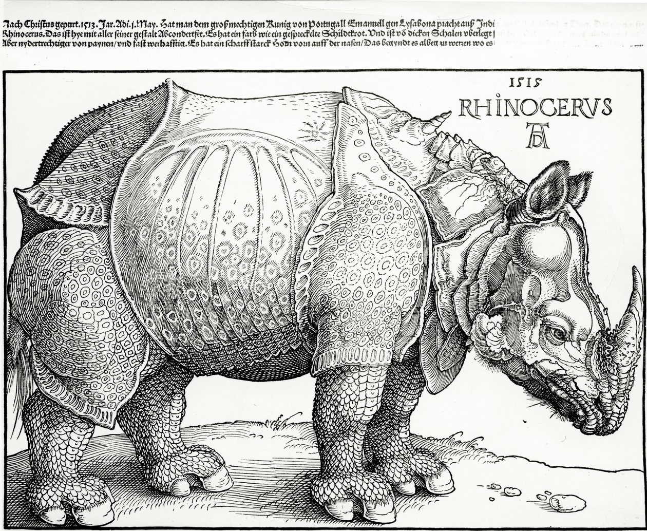 Il Rinoceronte, 1515 da Albrecht Dürer
