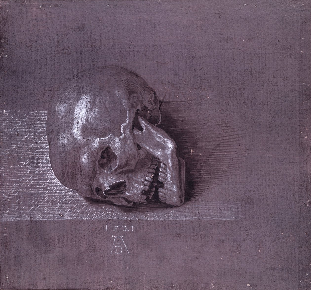 Studio di un cranio umano, 1521 da Albrecht Dürer