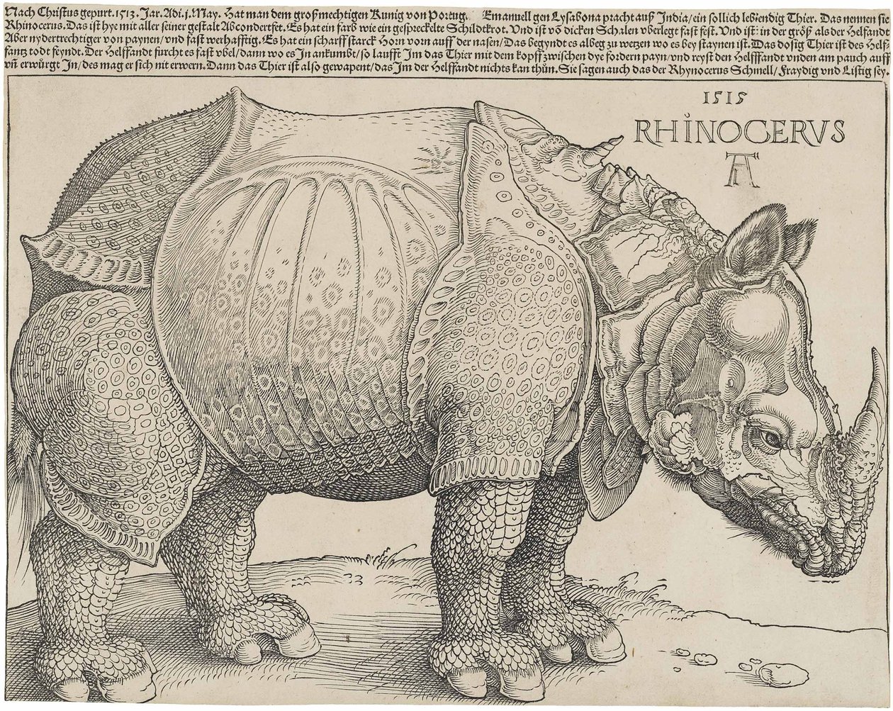 Il rinoceronte, 1515 da Albrecht Dürer