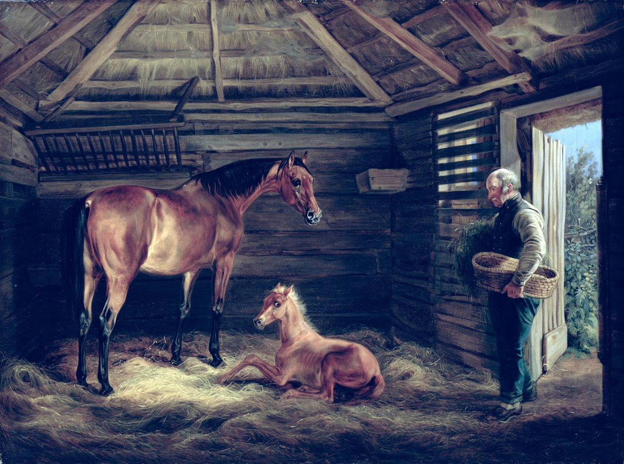 Cavalla inglese con i suoi puledri, 1833 da Albrecht Adam