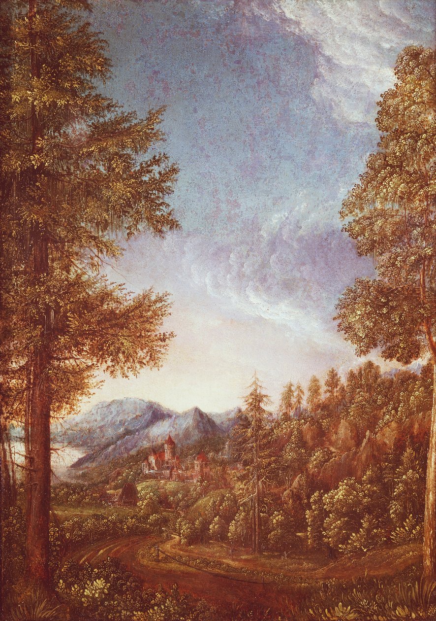 Paesaggio del Danubio con Castello Worth, c.1522-25 (pergamena su faggio) da Albrecht Altdorfer