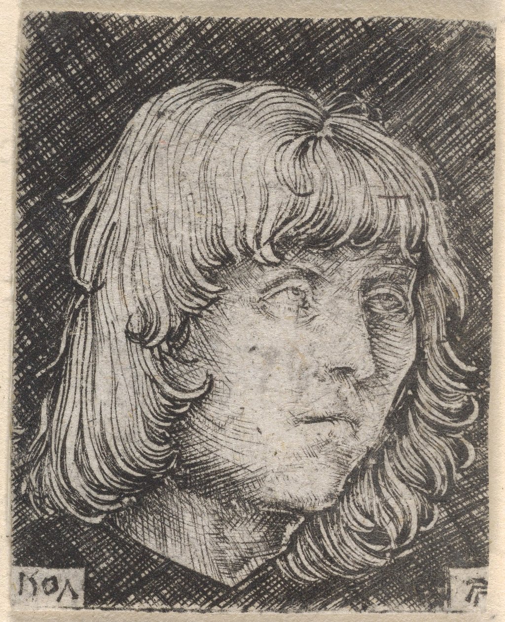 Testa di un giovane da Albrecht Altdorfer