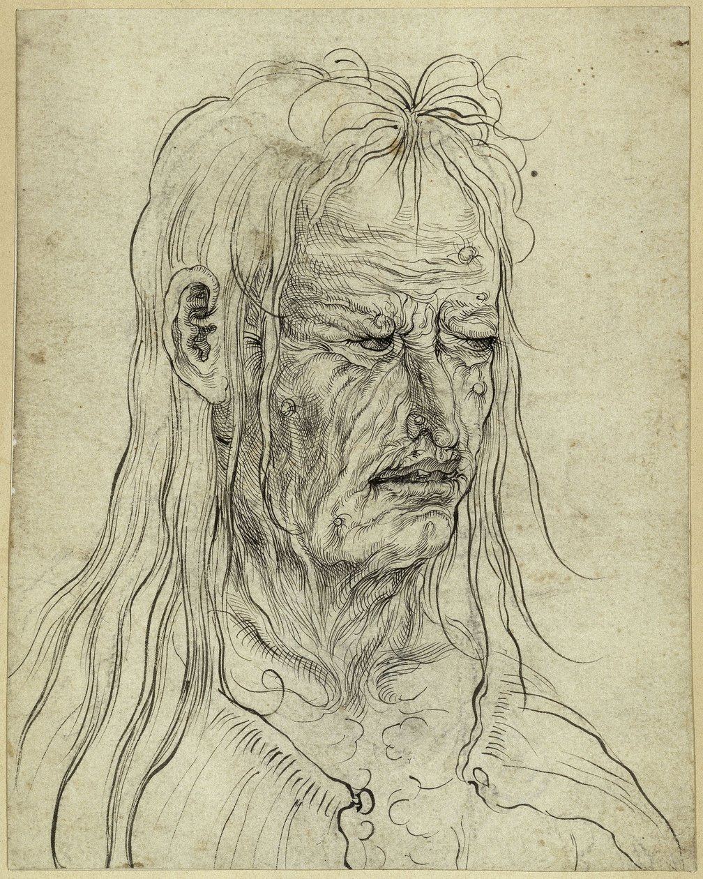 Testa di una vecchia brutta, rivolta verso destra da Albrecht Altdorfer