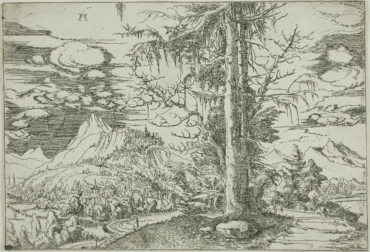 Paesaggio con un doppio abete da Albrecht Altdorfer