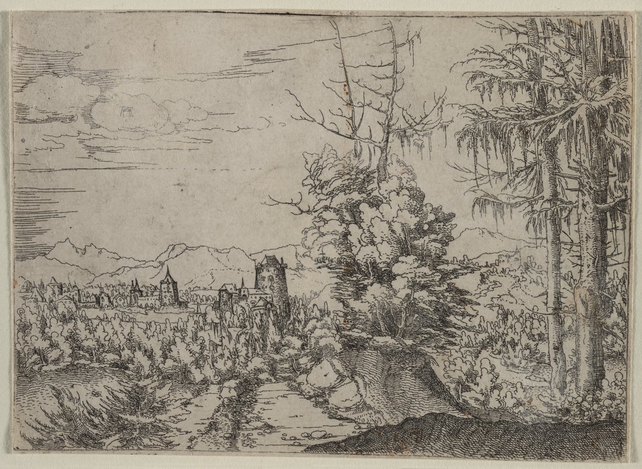 Paesaggio con Due Pini da Albrecht Altdorfer