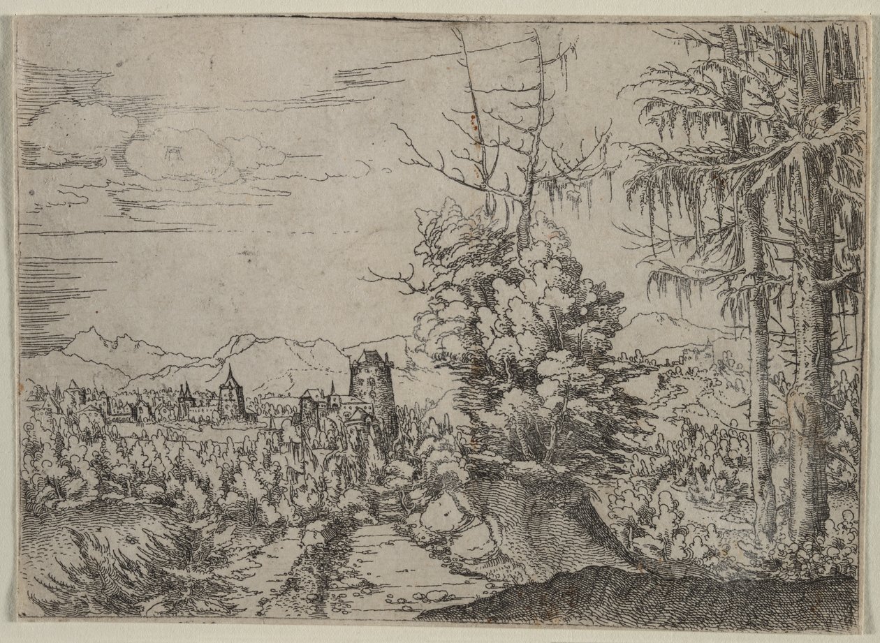 Paesaggio con due pini da Albrecht Altdorfer
