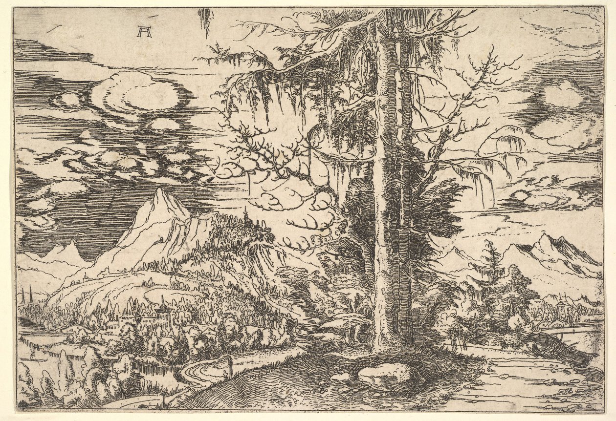 Paesaggio con un doppio abete, ca. 1521-22 da Albrecht Altdorfer