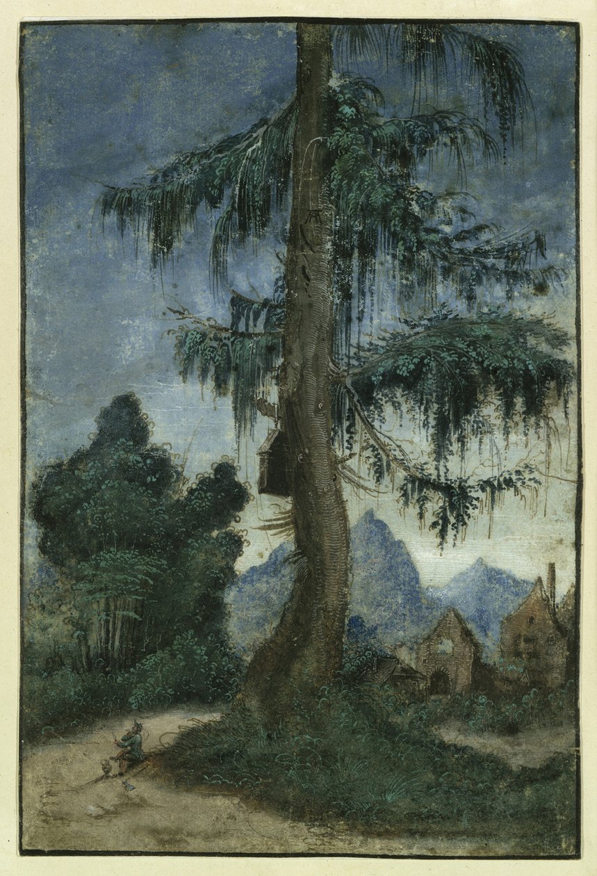 Paesaggio con un abete, ca 1522 da Albrecht Altdorfer