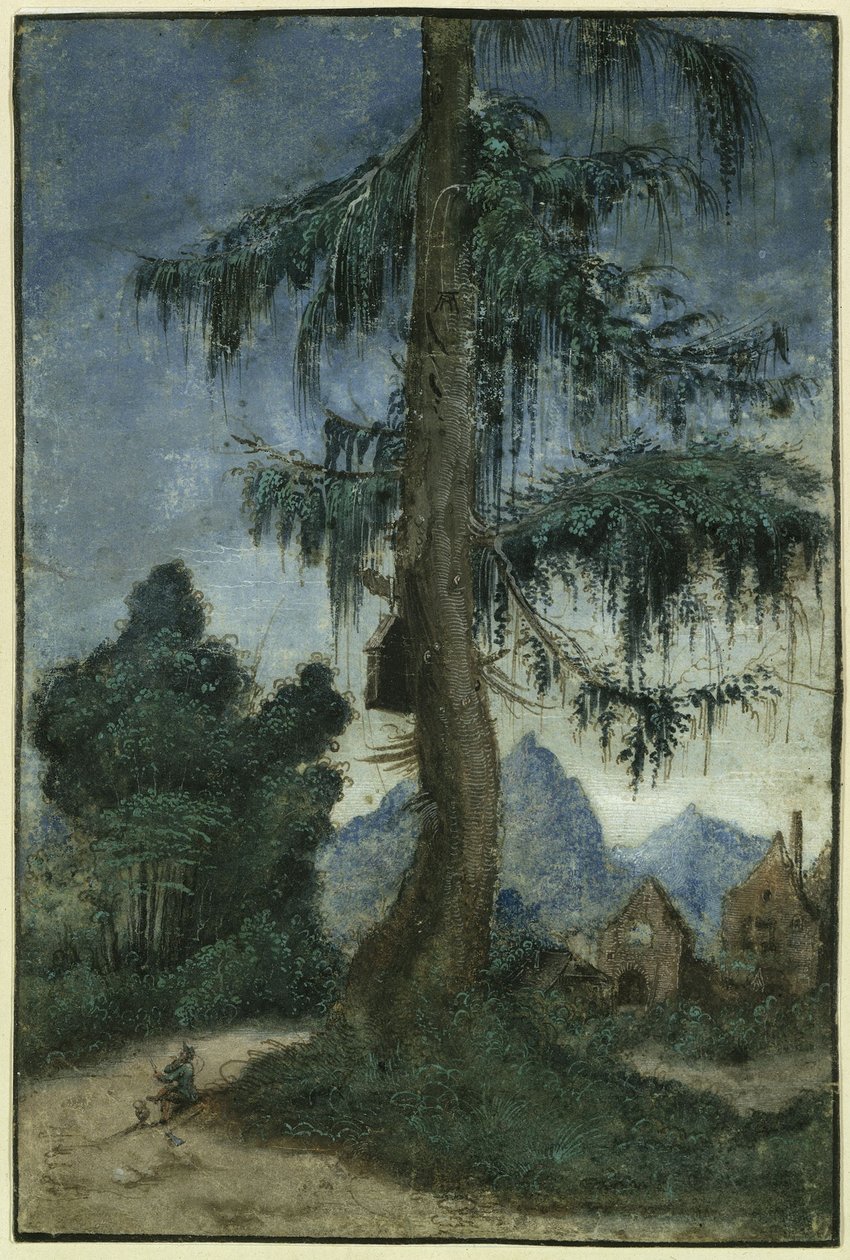 Paesaggio con abete rosso da Albrecht Altdorfer