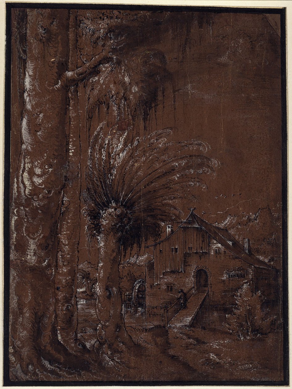 Paesaggio con mulino ad acqua da Albrecht Altdorfer