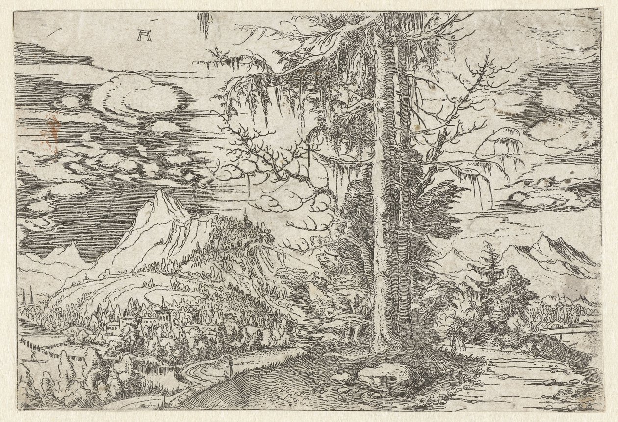 Paesaggio con doppio abete da Albrecht Altdorfer