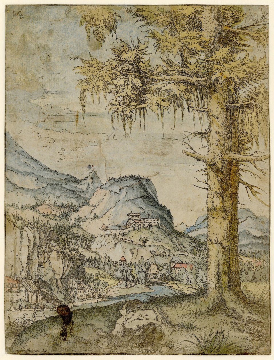 Grande abete da Albrecht Altdorfer