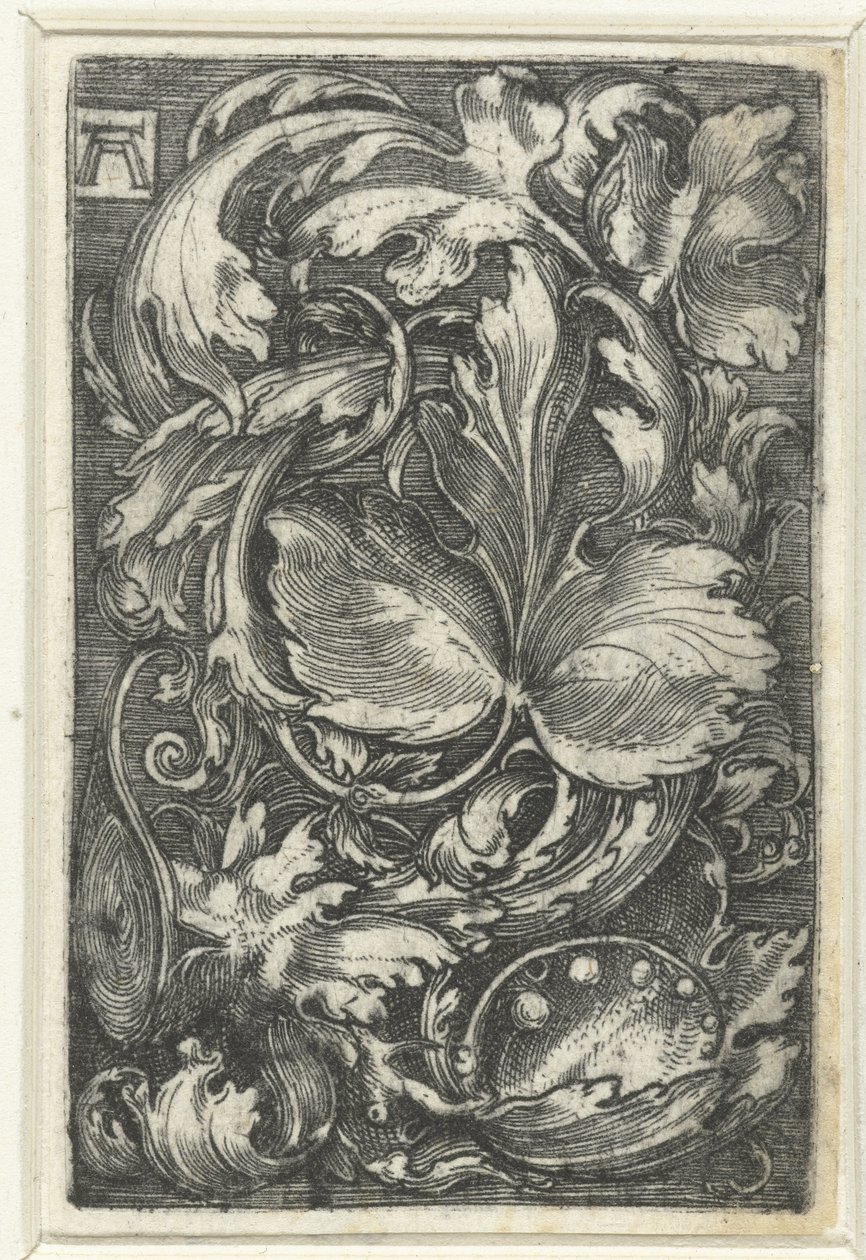 Ornamento con tralci di foglie da Albrecht Altdorfer