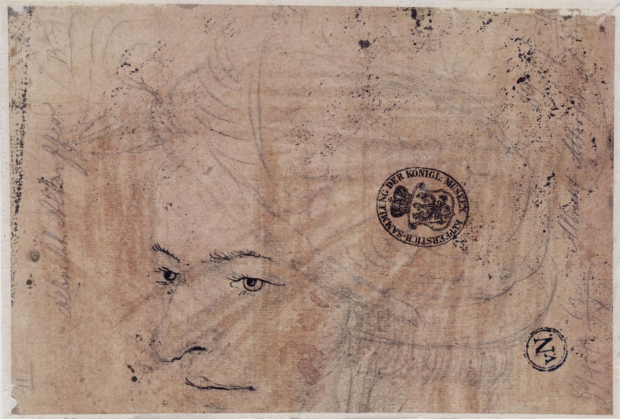Schizzo ritrattistico di un giovane con il berretto da Albrecht Altdorfer