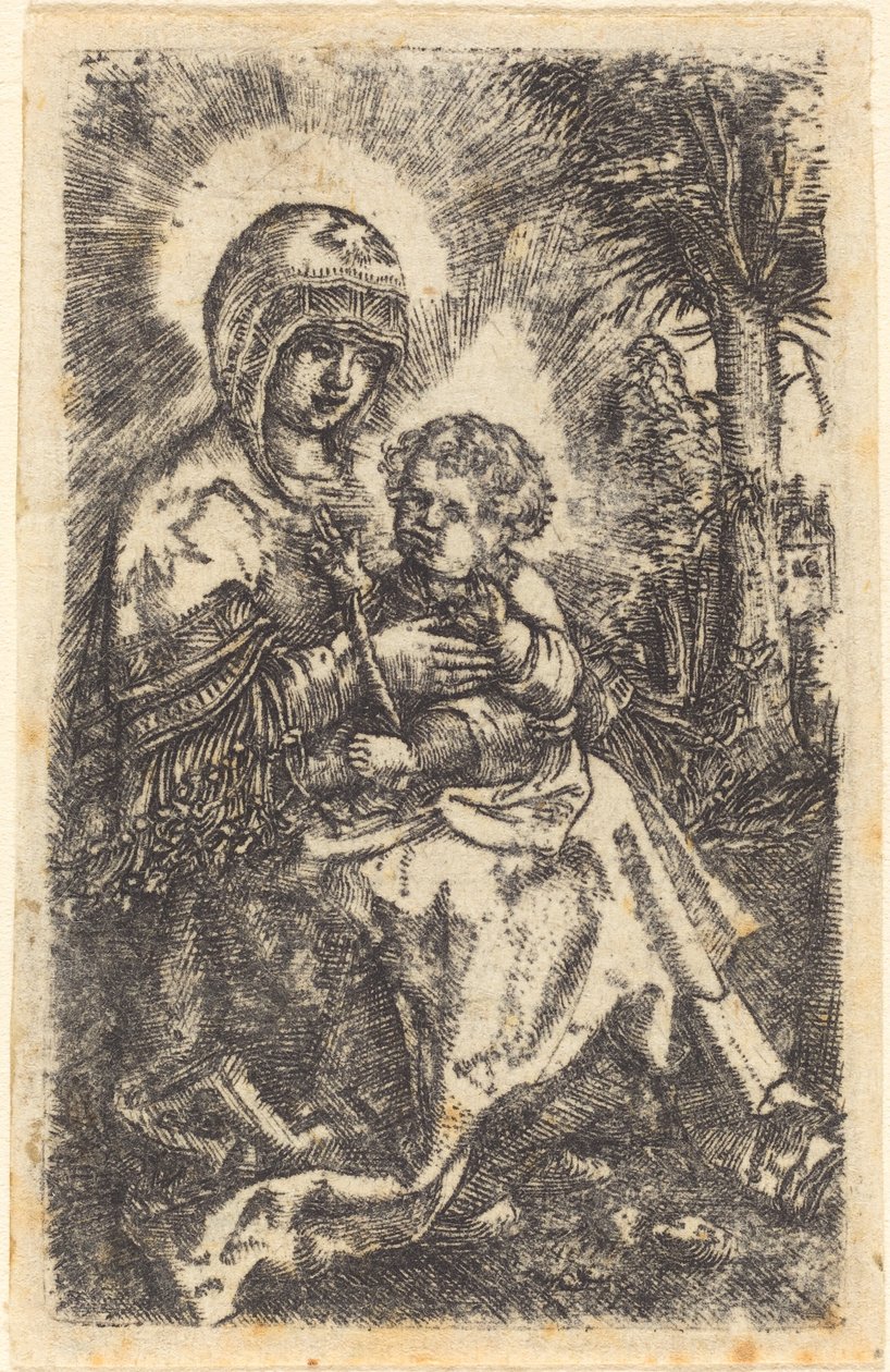 La "Bella Vergine" di Ratisbona in un Paesaggio da Albrecht Altdorfer