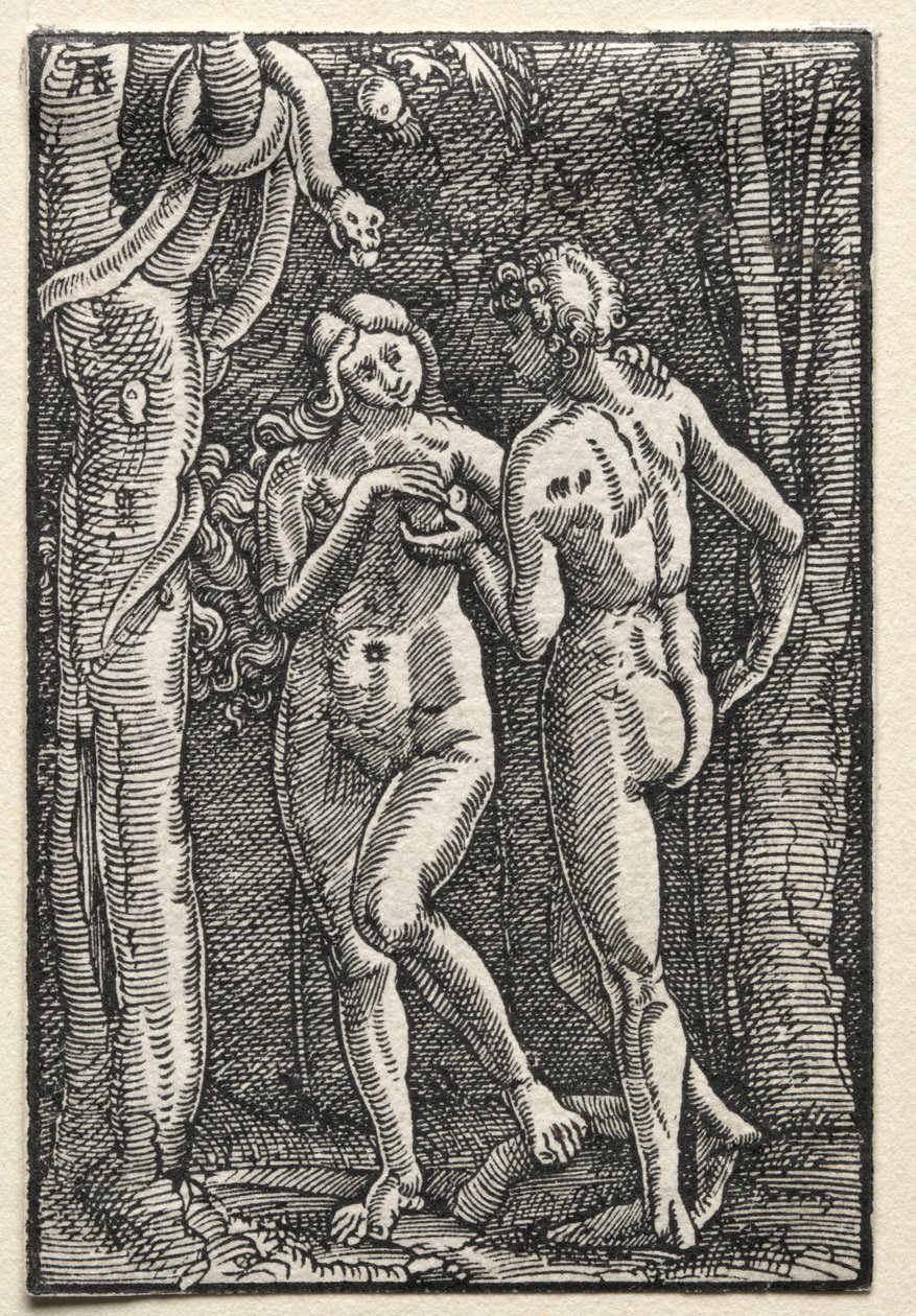 La caduta e la redenzione dell