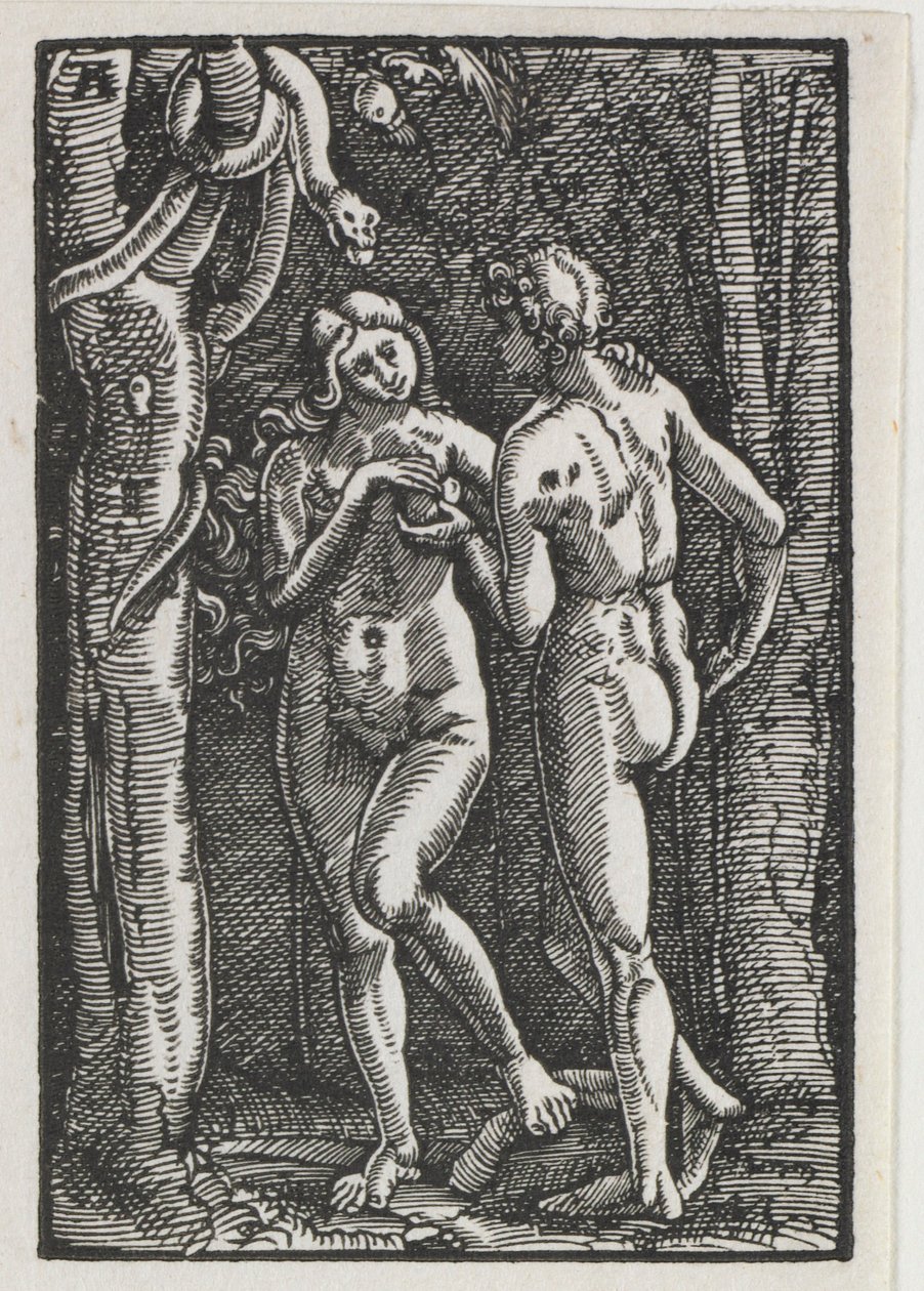 La Caduta e la Redenzione dell