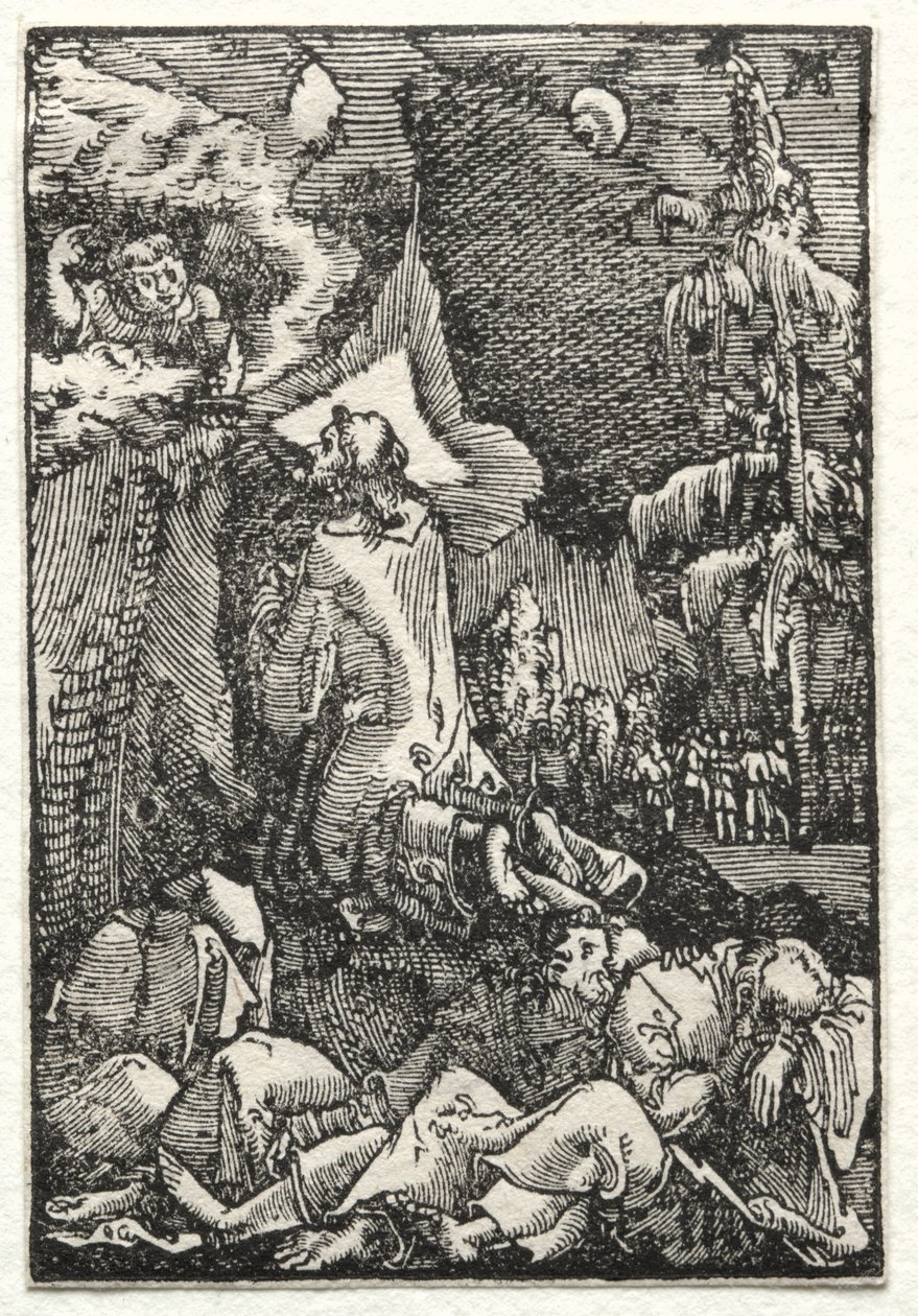 La caduta e la redenzione dell