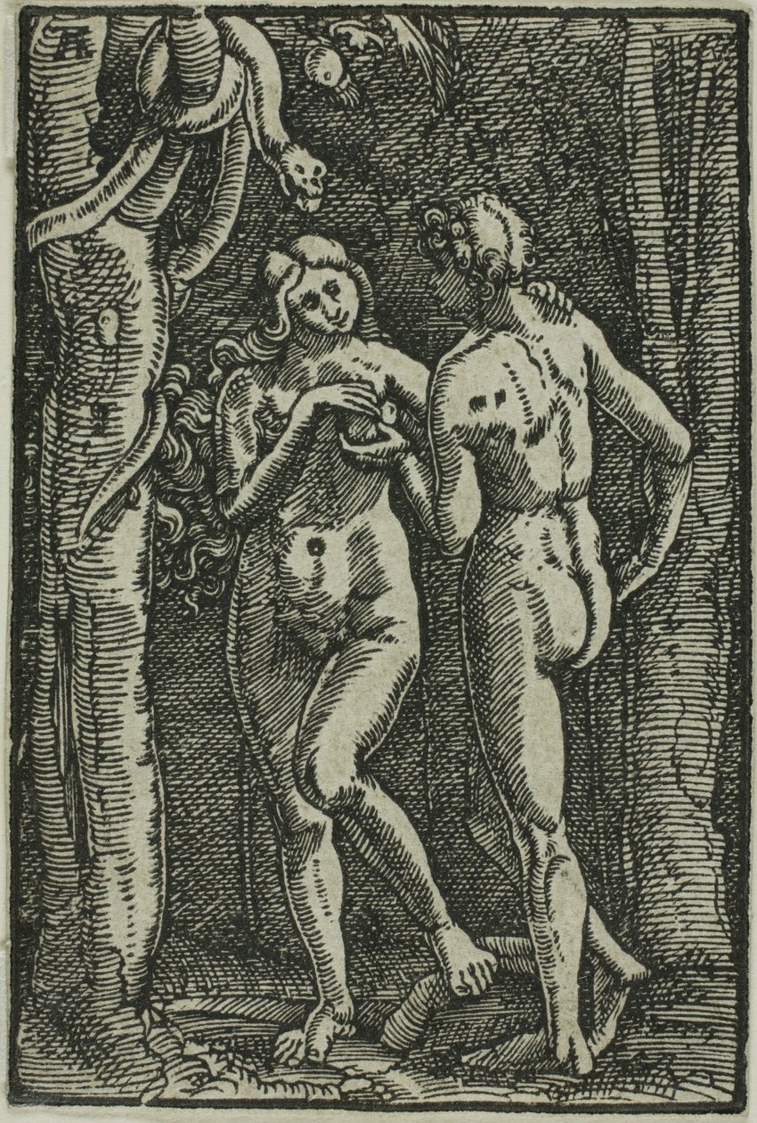 La caduta dell