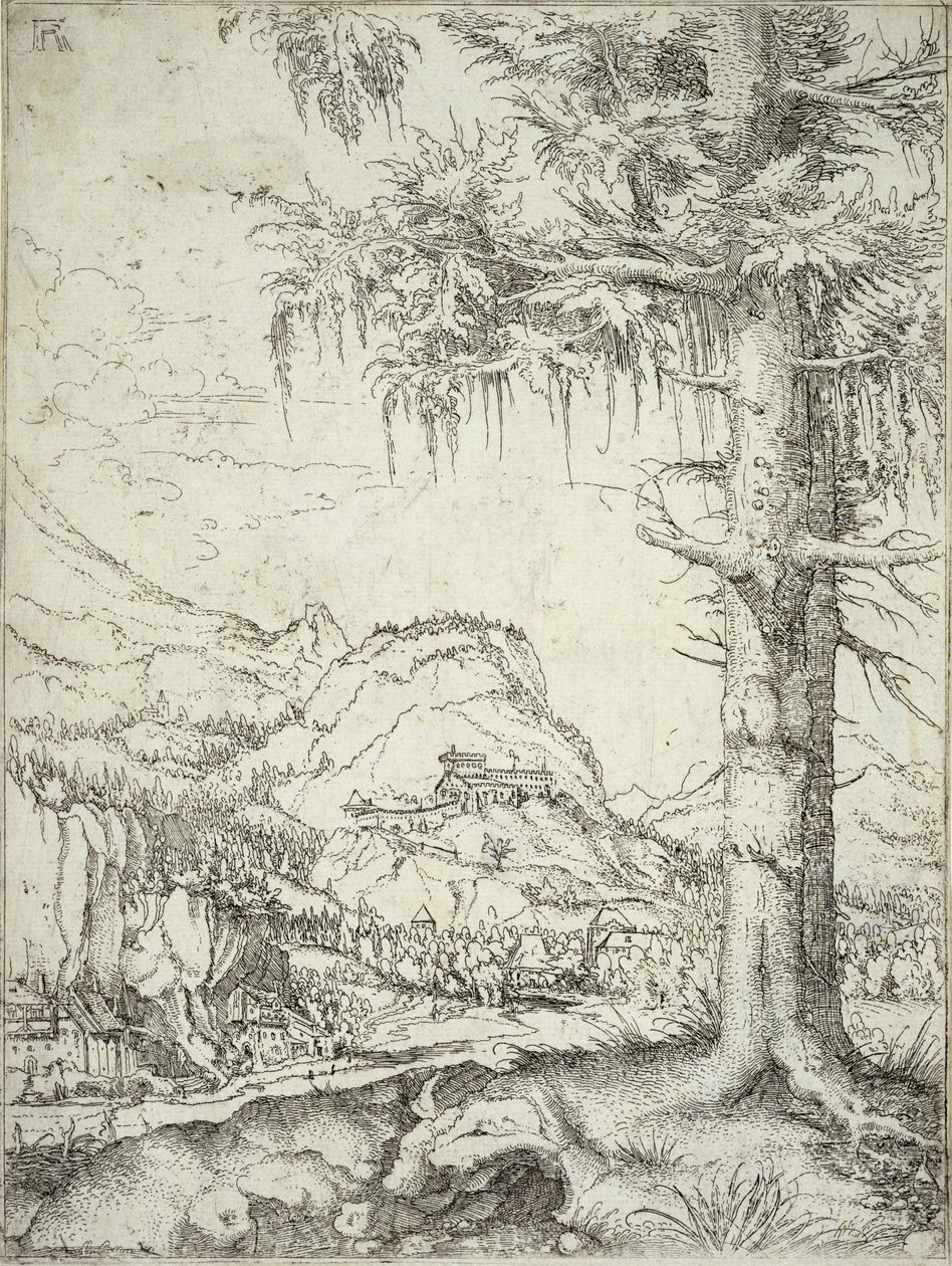 Il grande abete, c.1520 da Albrecht Altdorfer
