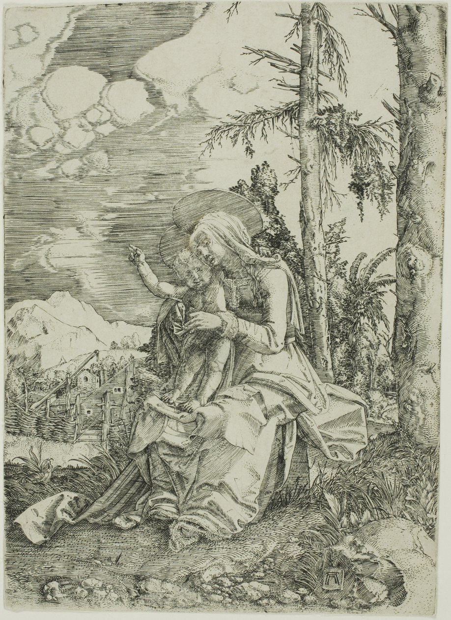 La Vergine con il Bambino benedicente in un paesaggio da Albrecht Altdorfer