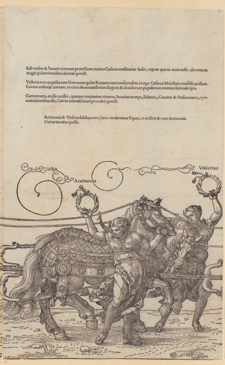 Acrimonia, foglio 6 della serie "Il grande carro trionfale" da Albrecht Dürer