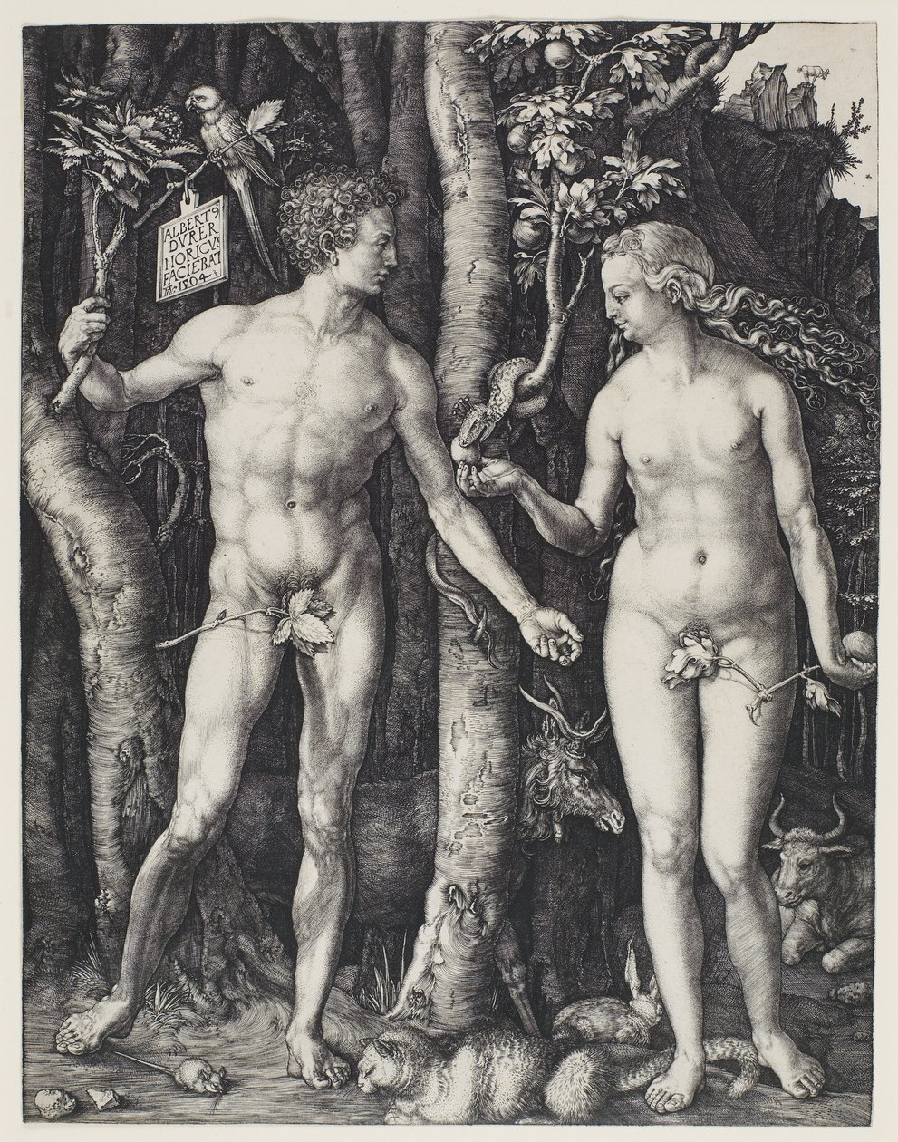 Adamo ed Eva da Albrecht Dürer