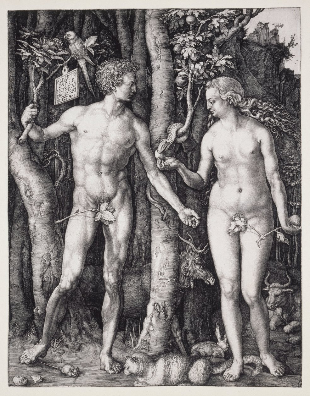 Adamo ed Eva da Albrecht Dürer