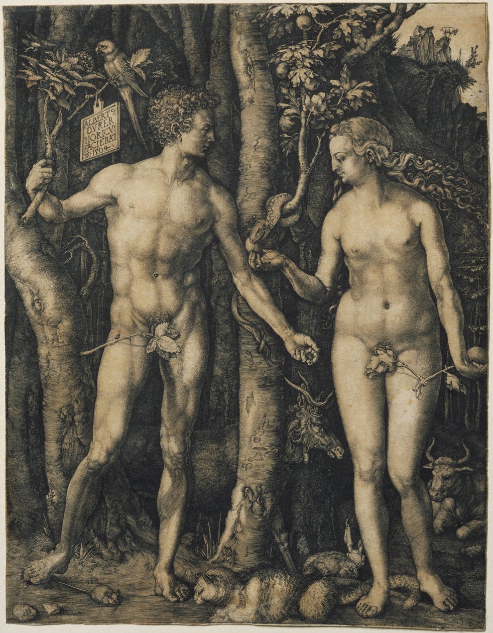 Adamo ed Eva da Albrecht Dürer
